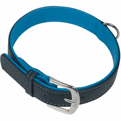 Nobby Pacífic Turquoise Cuir S-M Chien Collier standard