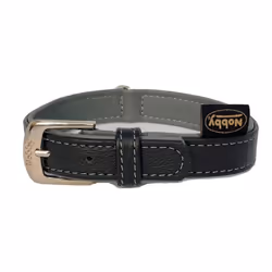 Nobby Pacific, Chien, Collier standard, Gris, Cuir, S-M, 33 cm
