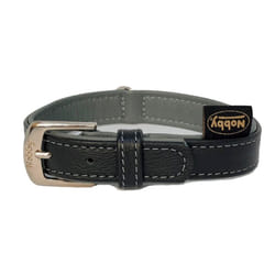 Nobby Pacific Gris Cuir M Chien Collier standard