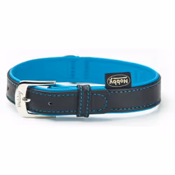Nobby Pacific, Chien, Collier standard, Turquoise, Cuir, M-L, 41 cm