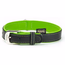 Nobby Pacific, Chien, Collier standard, Vert, Cuir, M-L, 41 cm