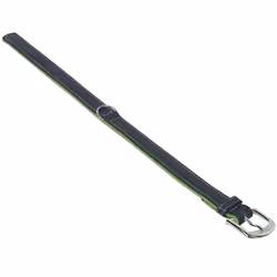 Nobby Pacific Vert Cuir M-L Chien Collier standard