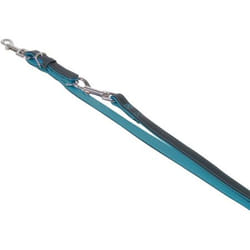 Nobby Pacific 2 m Turquoise Cuir Chien Laisse éducative