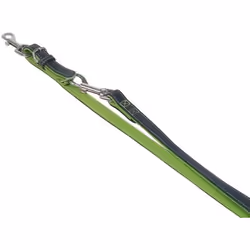 Nobby Pacific, Chien, Laisse éducative, Vert, Ruban, Cuir, L-XL