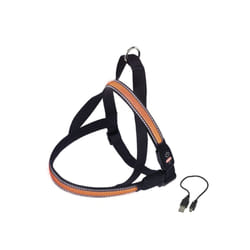 Nobby Flesh Mesh M Orange Nylon Chien Harnais anti-traction