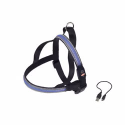 Nobby Flesh Mesh, Chien, Harnais anti-traction, S, Bleu, Nylon, Monochromatique