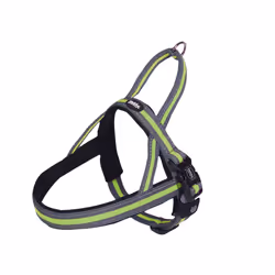 Nobby Variado, Universel, Harnais avec laisse, L, Vert, Nylon, Motif