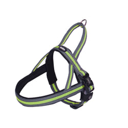 Nobby Variado L-XL Vert Nylon Universel Harnais avec laisse