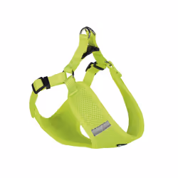 Nobby 80625-24, Chien, Harnais avec laisse, S, Jaune, Monochromatique, 41 cm