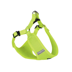 Nobby 80625-24 harnais pour chiens et chats S Jaune Chien Harnais avec laisse
