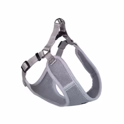 Nobby 80626-81, Chien, Harnais avec laisse, M, Gris, Monochromatique, 48 cm