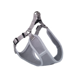 Nobby 80626-81 harnais pour chiens et chats M Gris Chien Harnais avec laisse