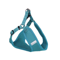 Nobby Mesh Reflect L Turquoise Chien
