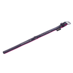 Nobby Pacific Deluxe Noir, Fuchsia S-M Chien Collier standard