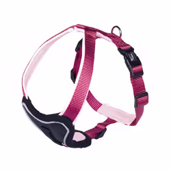 Nobby Classic Preno, Chien, Harnais abdominal, S-M, Nylon, Monochromatique, 35 cm
