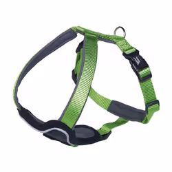 Nobby Classic Preno, Chien, Harnais abdominal, M-L, Vert, Nylon, Monochromatique