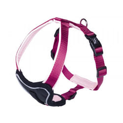 Nobby Classic Preno L-XL Nylon Chien Harnais abdominal