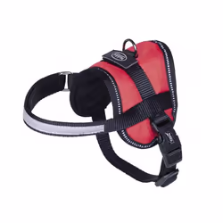 Nobby Seguro, Chien, Harnais anti-traction, Rouge, Nylon, Monochromatique, 31 cm