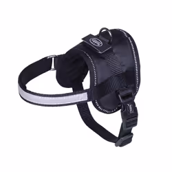 Nobby Seguro Mini, Chien, Noir, Nylon, Monochromatique, 40 cm, 31 cm