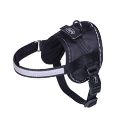 Nobby Seguro Mini Noir Nylon Chien