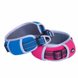 Nobby Kalea Néoprène, Nylon M-L Chien Collier standard