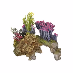Nobby 28064, Multicolore, Eau fraîche, Eau salée, 155 mm, 90 mm, 105 mm, 218 g