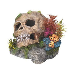 Nobby 28102 Ornement décoratif d'aquarium Multicolore