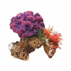 Décoration d'aquarium avec plantes Nobby Pet Coral Stone
