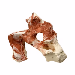 Nobby 28200, Multicolore, Eau fraîche, Eau salée, 1 pièce(s), 105 mm, 85 mm, 155 mm