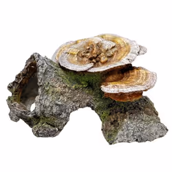 Nobby 28274, Eau fraîche, Eau salée, 1 pièce(s), 180 mm, 190 mm, 100 mm, 307 g