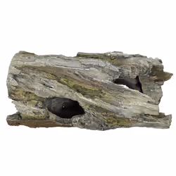 Nobby 28535, Bois, Caoutchouc, Eau fraîche, Eau salée, 250 mm, 120 mm, 120 mm