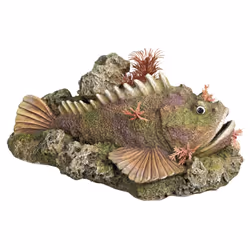 Nobby 28559, Multicolore, Caoutchouc, Eau fraîche, Eau salée, 210 mm, 90 mm, 145 mm