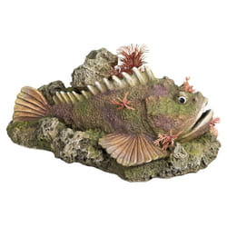 Nobby 28559 Multicolore