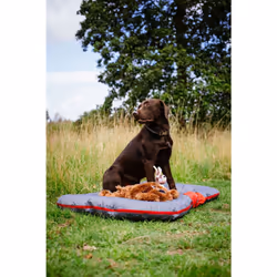 Nobby 60850 Tapis pour animaux de compagnie