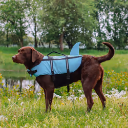 Nobby Sharki Gilet de sauvetage pour chiens XL Bleu clair