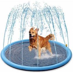 Nobby Splash Pool Ø 150 cm Pataugeoire gonflable pour animaux