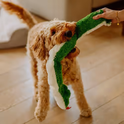 Nobby 67465 jouet pour chiens et chats - Vue supplémentaire 4