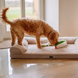 Nobby 67465 jouet pour chiens et chats - Vue supplémentaire 5