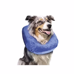 Nobby 67475 Bleu S Chien Collier gonflable