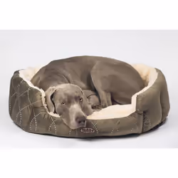 Nobby 70868 Panier lit pour animaux de compagnie