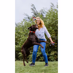 Nobby 72493 jouet pour chiens et chats