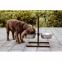 Nobby 72833 Chien Ensemble gamelles pour animaux de compagnie