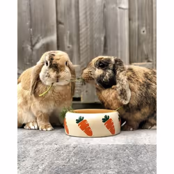 Nobby 73630 bol pour petits animaux