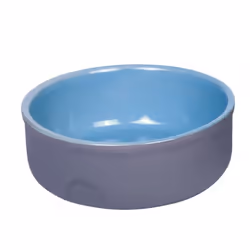 Nobby 73765 Feed, Chien, Vitrocéramique, Bleu, Gris, Gamelle à nourriture pour animaux de compagnie, Monochromatique, 240 L