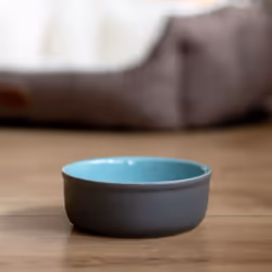 Nobby 73765 Feed Chien Gamelle à nourriture pour animaux de compagnie