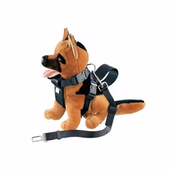 Nobby 75321, Chien, Harnais abdominal, S, Noir, Monochromatique, 1,6 cm