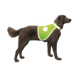 Nobby 78316 Gilet de sauvetage pour chiens L Polyester Vert