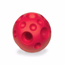 Nobby 79419, Chien, Jouet en forme d'en-cas, Magenta, Vinyl, 282 g