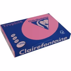 Clairefontaine 1219C, Universel, A4 (210x297 mm), Mat, 250 feuilles, 120 g/m², Rose