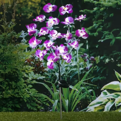 La lampe solaire à LED en forme d'orchidée de la marque HI est une belle lampe d'extérieur pour décorer et éclairer allée, ja ...